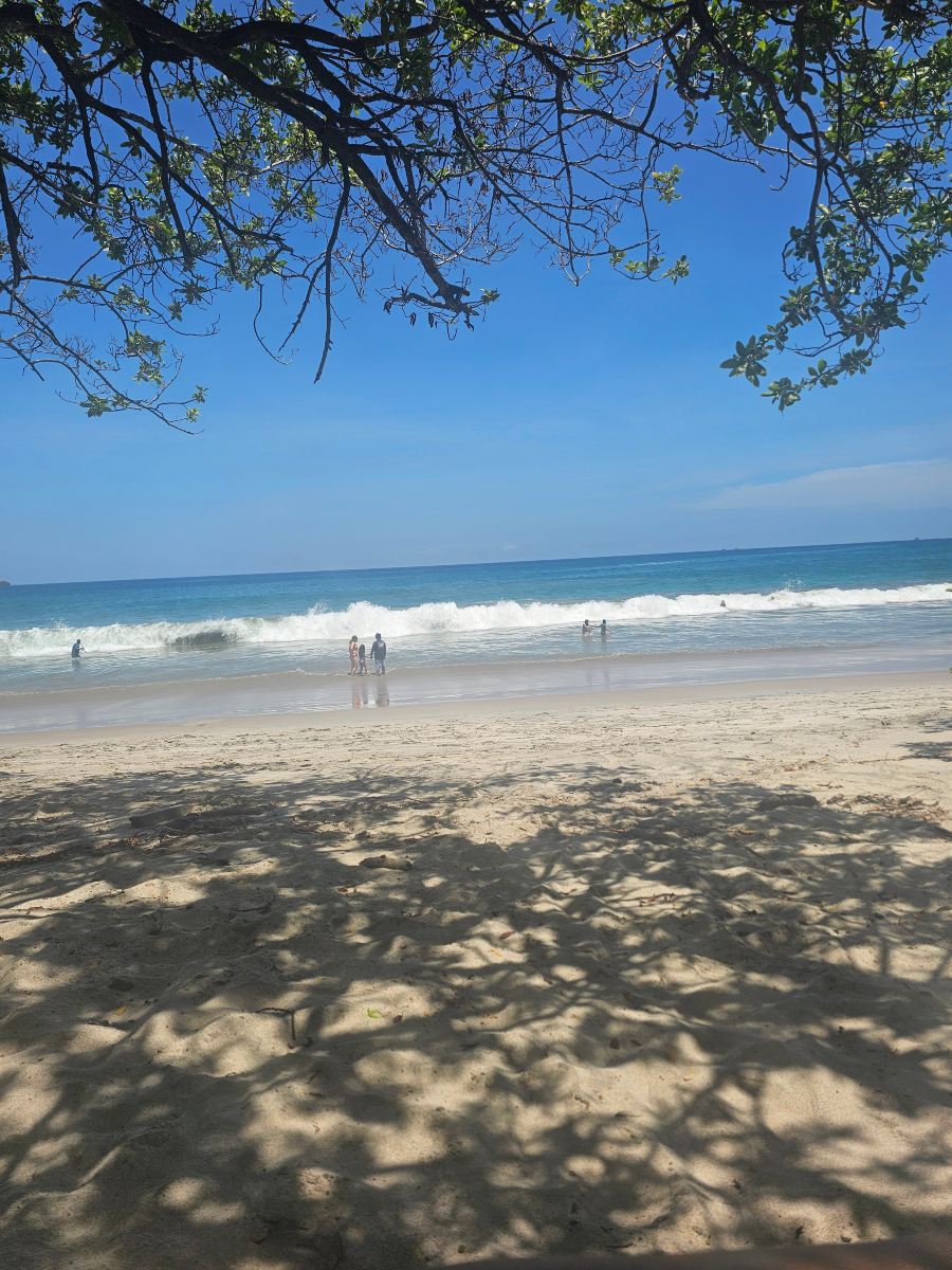 玛格丽塔维尔海滩度假村-旅行者