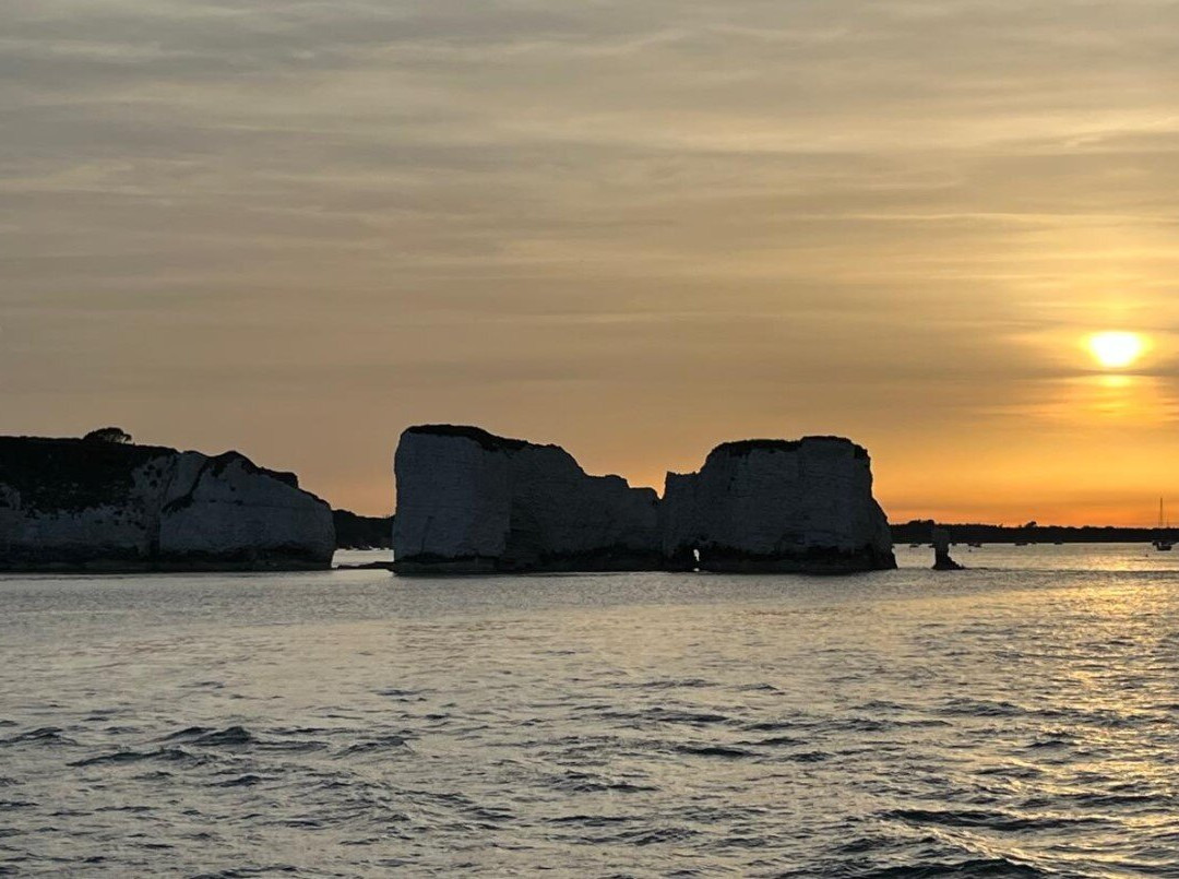 Birds Of Poole Harbour Events-普尔必去景点