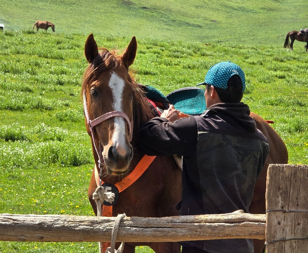 Askar Horse Riding Tour-Kyzart必去景点