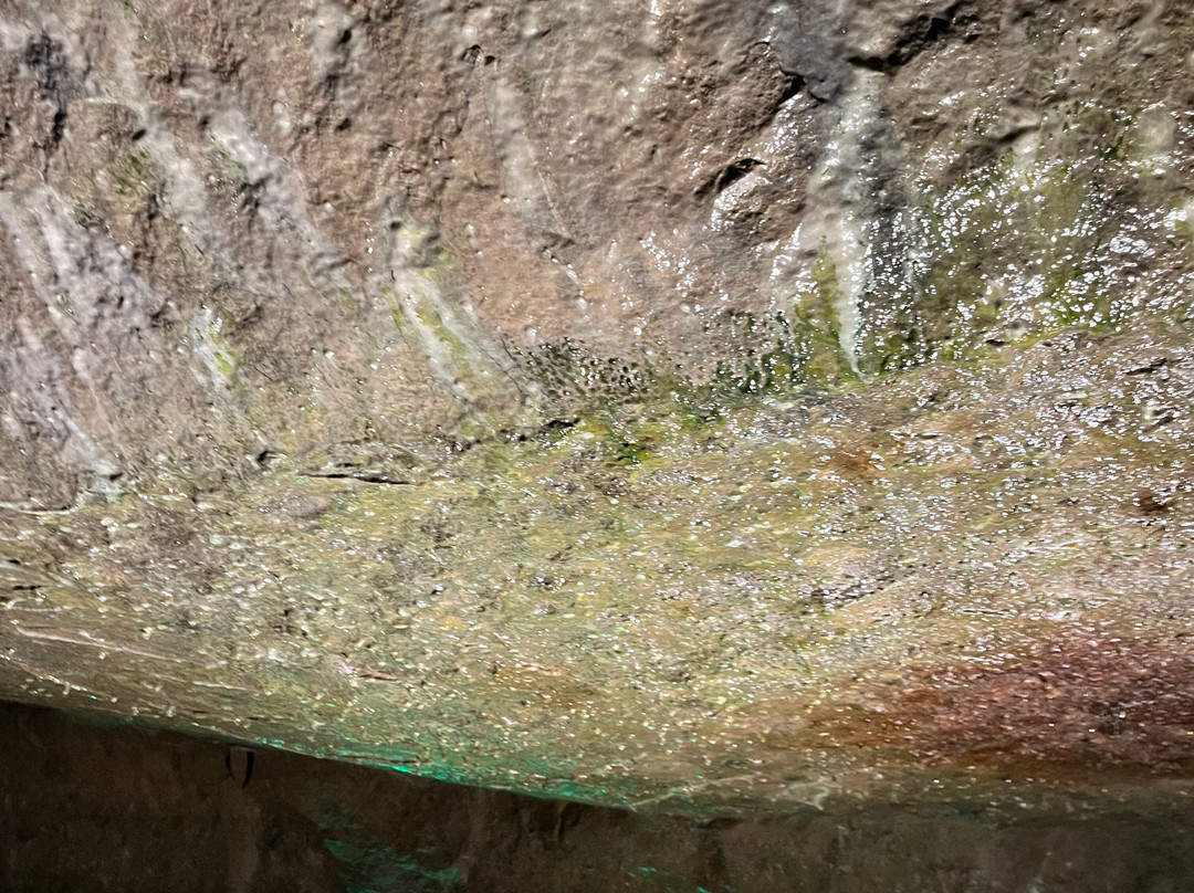 Seneca Caverns-Bellevue必去景点