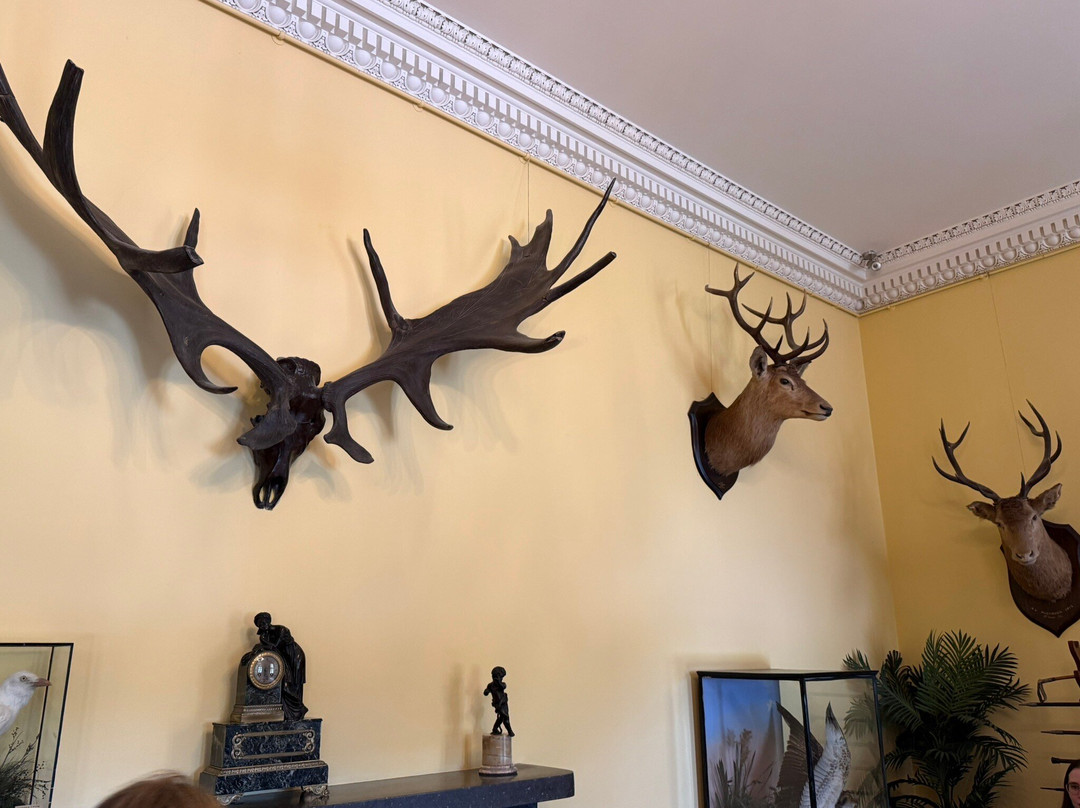 Muckross House, Gardens & Traditional Farms-基拉尼必去景点