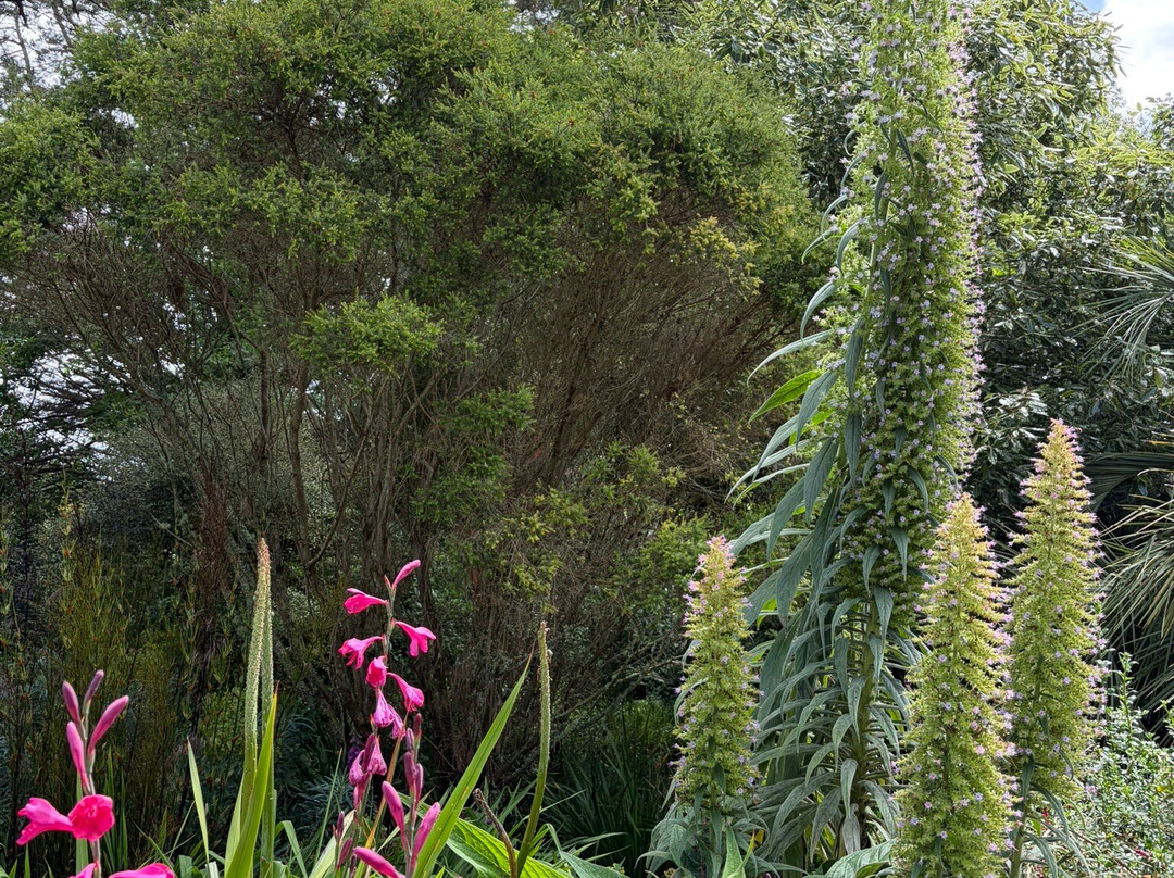 Glendurgan Garden-法尔茅斯必去景点
