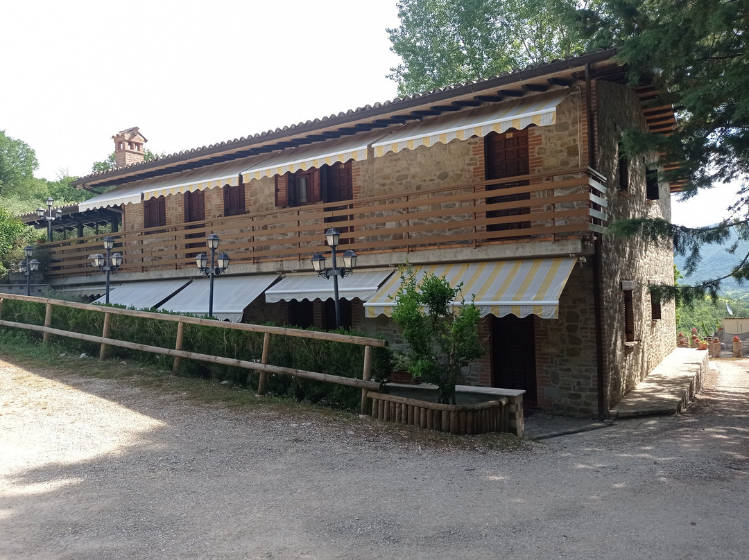 Albergo Il Tartufaro主图