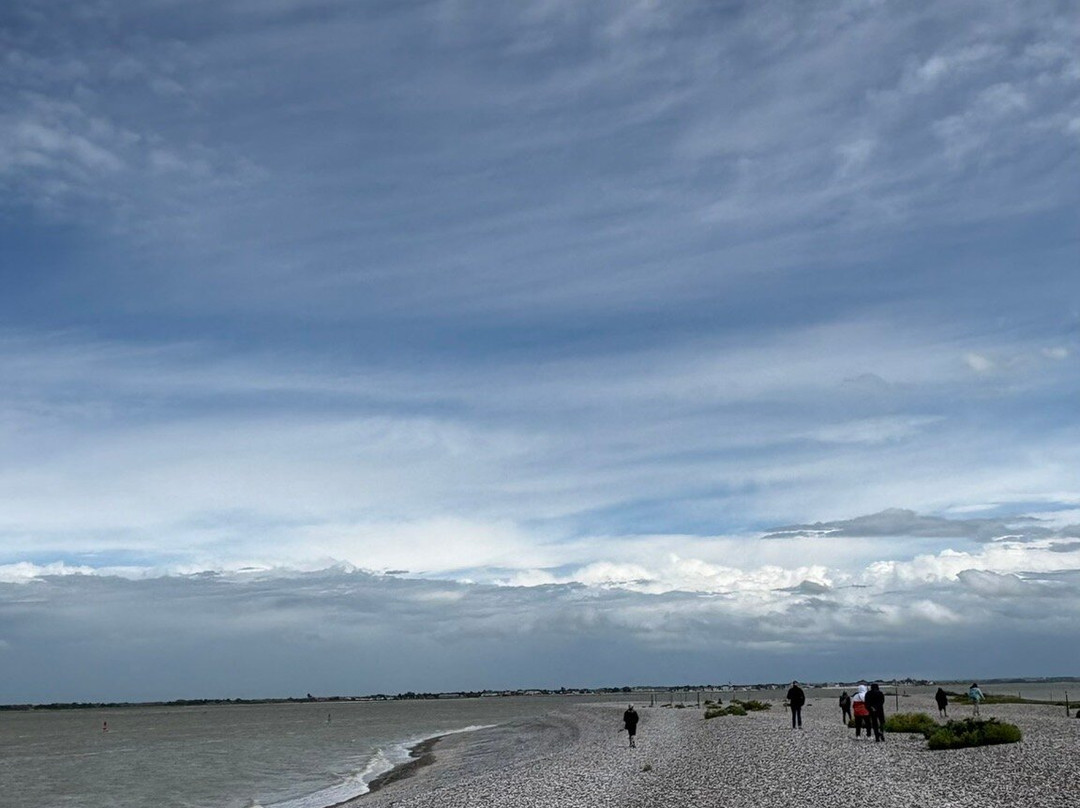 Le Hourdel-Cayeux-sur-Mer必去景点