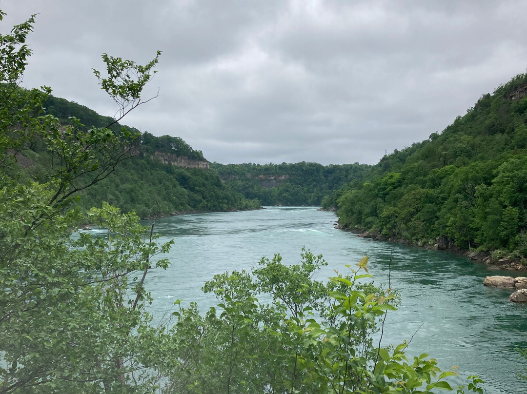 Niagara Glen Nature Areas-尼亚加拉大瀑布必去景点