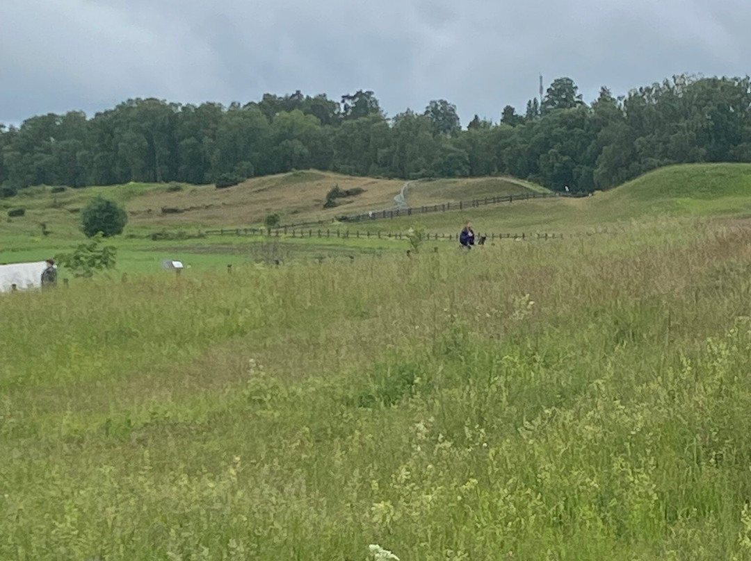 Royal Mounds-Gamla Uppsala必去景点