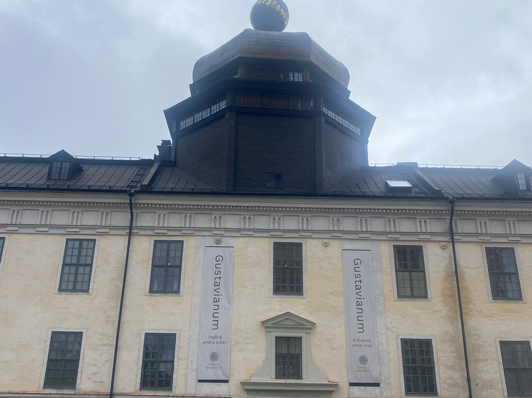 Museum Gustavianum-乌普萨拉必去景点
