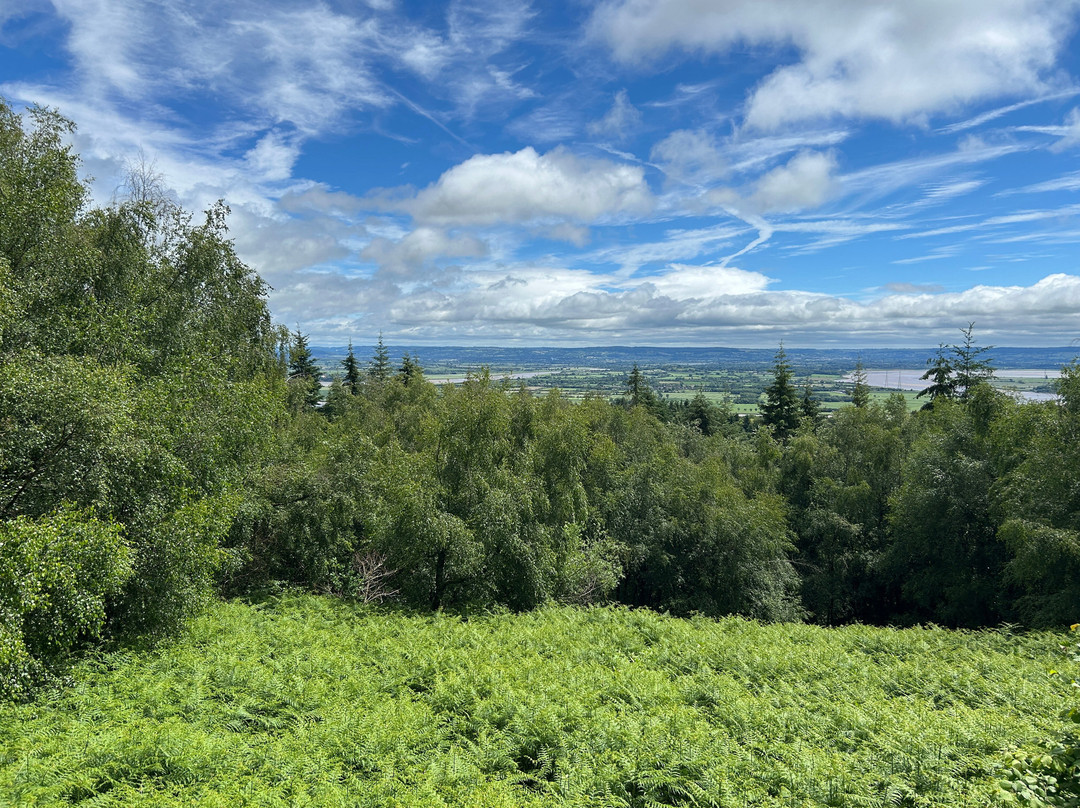 Soudley Ponds-Soudley必去景点