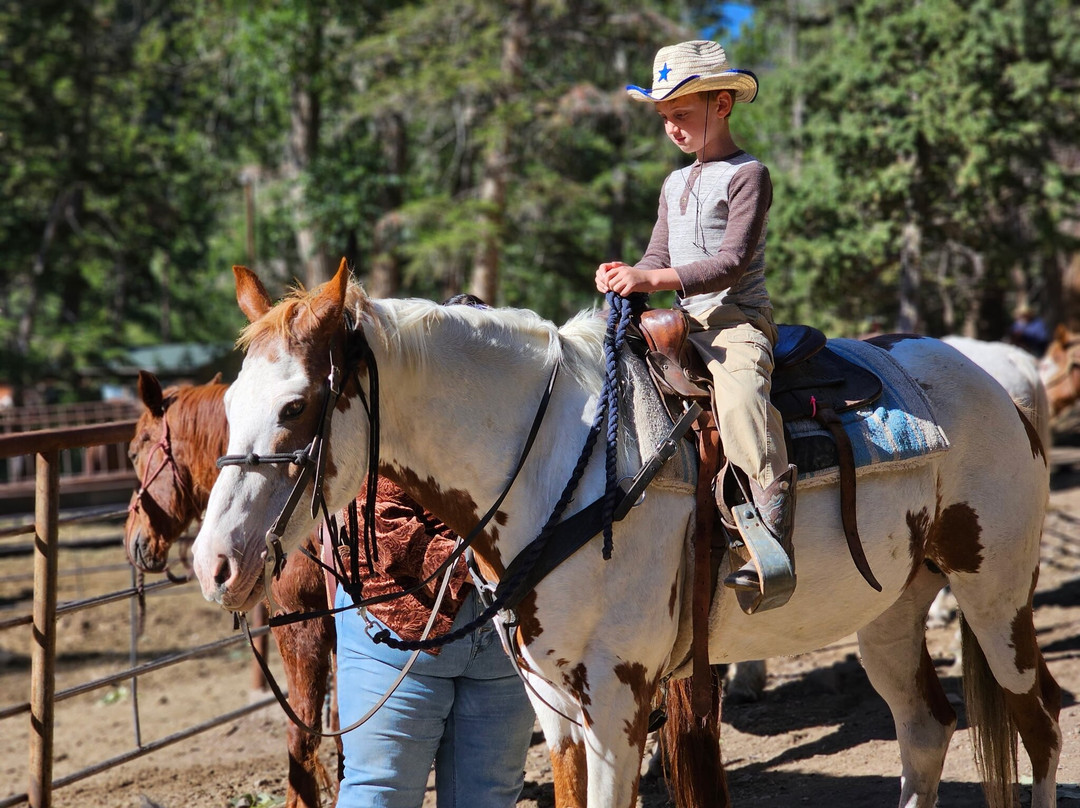 Bill Cody Ranch主图