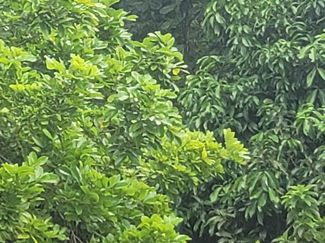 波兰公主旅馆主图