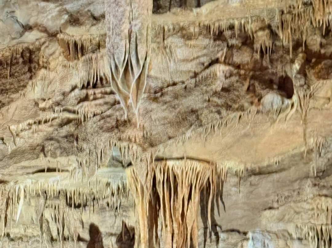 Lost World Caverns-Lewisburg必去景点