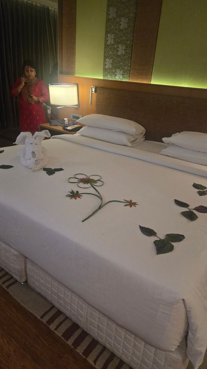 古瓦哈蒂丽笙酒店-旅行者
