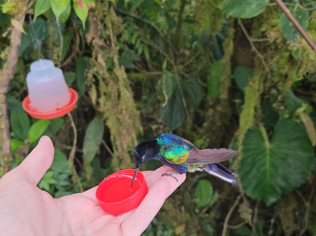 San Tadeo Birding-明多必去景点