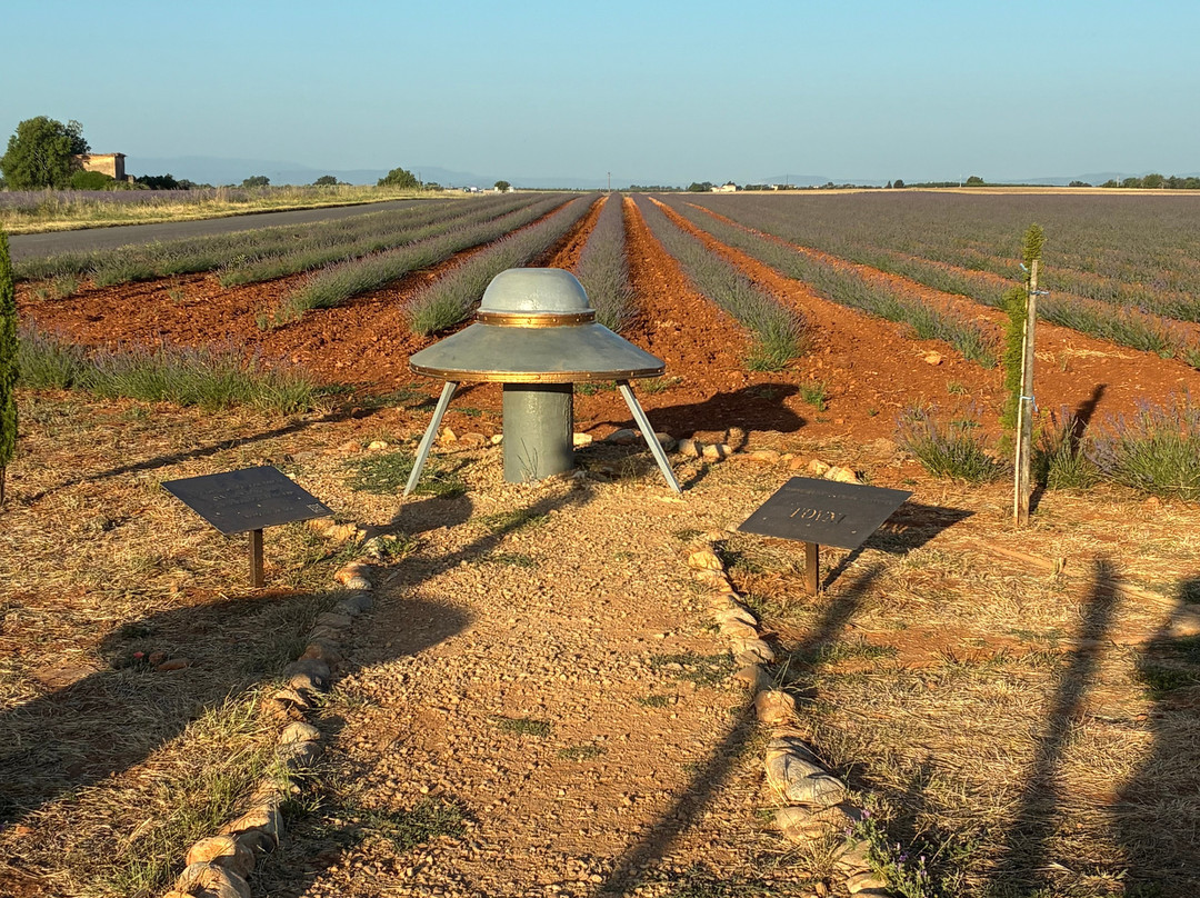 Plateau de Valensole-瓦朗索勒必去景点