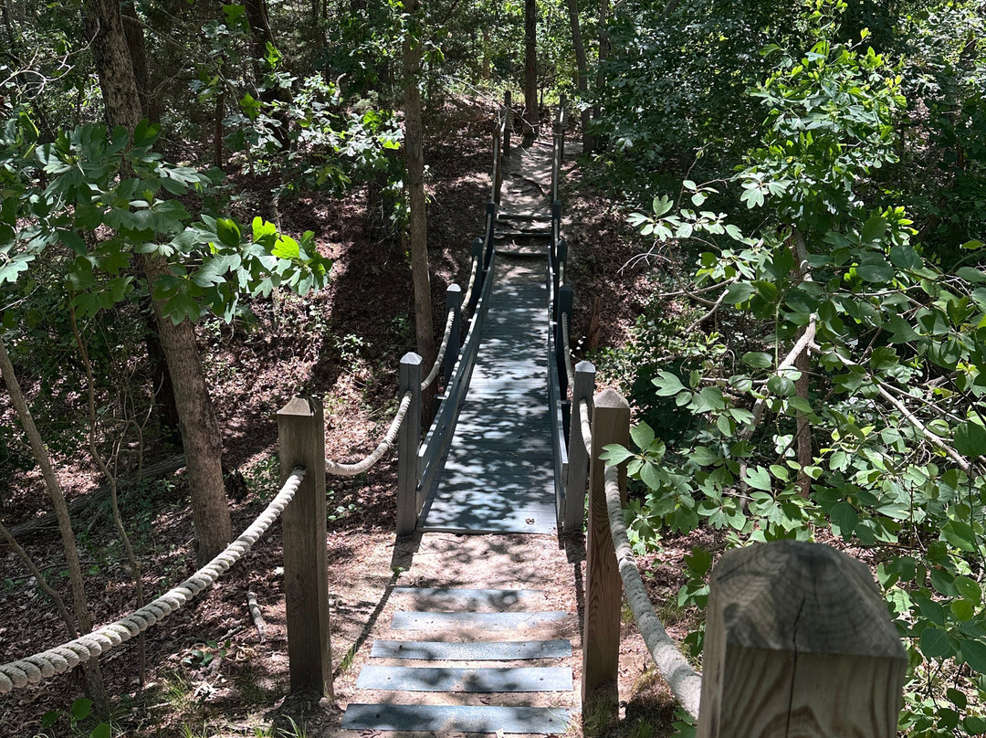 Maurice River Bluffs  Nature Preserve-Millville必去景点