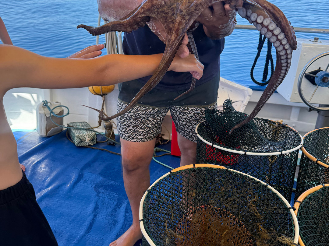 Pescaturismo K2-萨萨里省必去景点