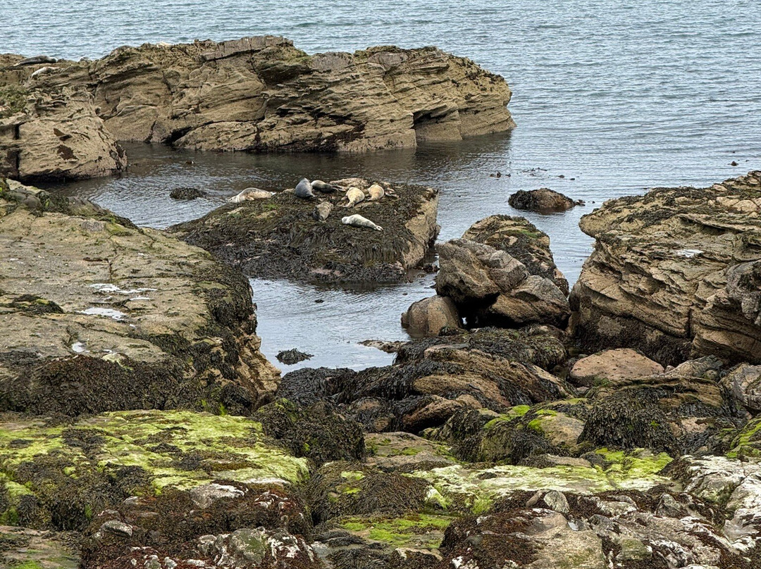 St. Mary's Lighthouse-惠特利湾必去景点