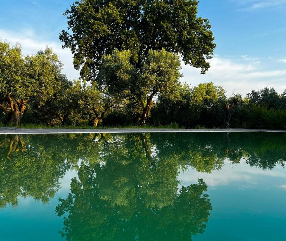 Tenuta Paino