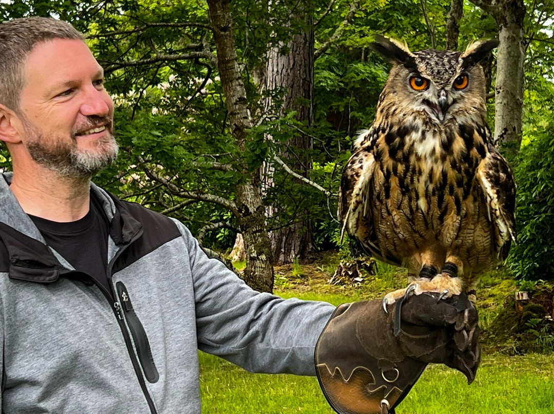 Shieldaig Falconry-盖尔洛赫必去景点