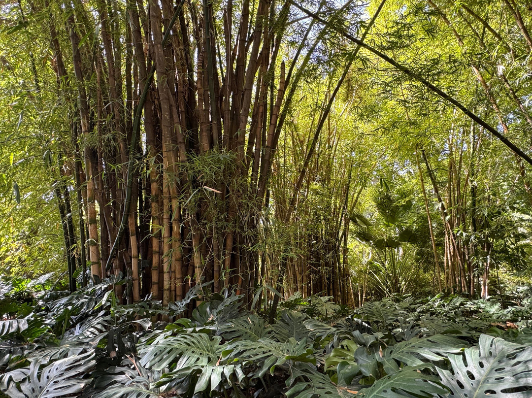 Jardín Botánico Histórico La Concepción-马拉加必去景点