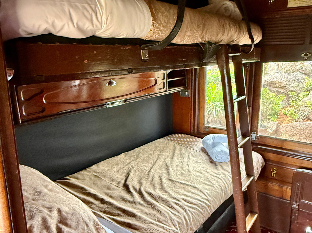 Ruwenzori Retreat主图