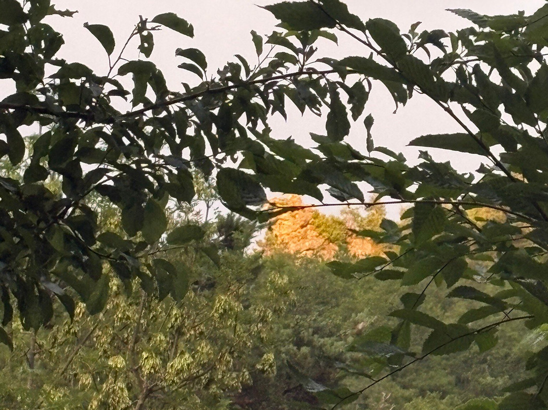 Village de Gîtes des Chalets du Camping du Golf主图