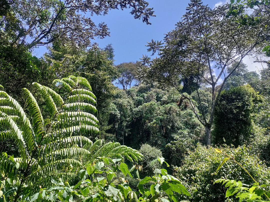 Burundi Discovery Tours-布松布拉必去景点