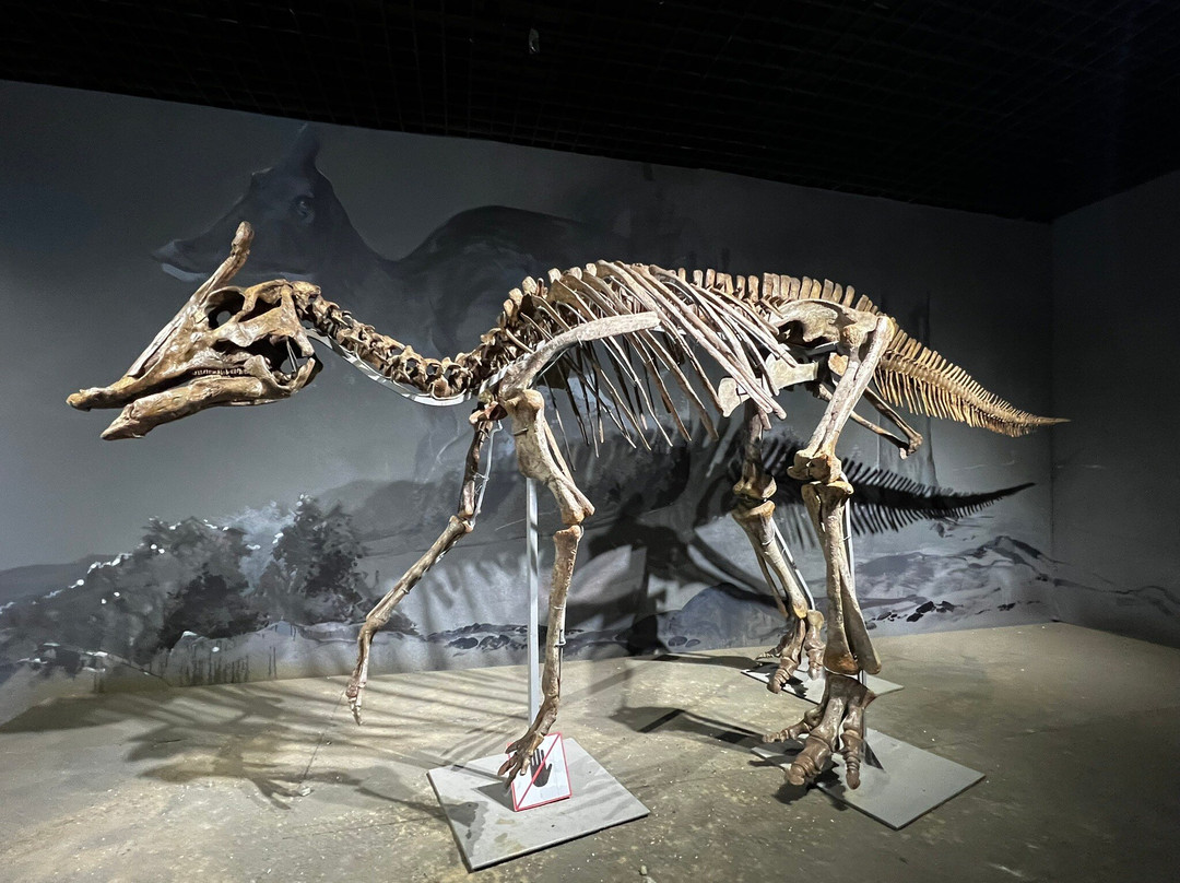 The Natural History Museum Of Mongolia-乌兰巴托必去景点