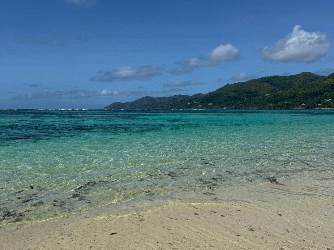 Anse Marie-Louise Beach-普拉兰岛必去景点