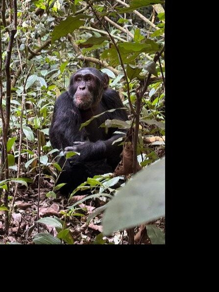 Africa Reveal Safaris-Namugongo必去景点