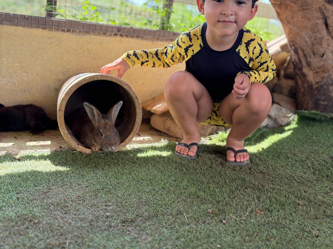 Fazendinha Adventure Park-Cumbuco必去景点