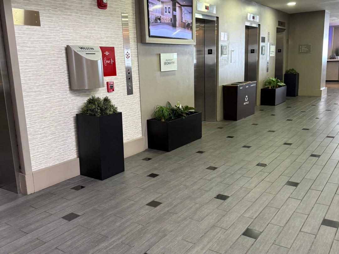 泰森斯角威斯汀酒店主图