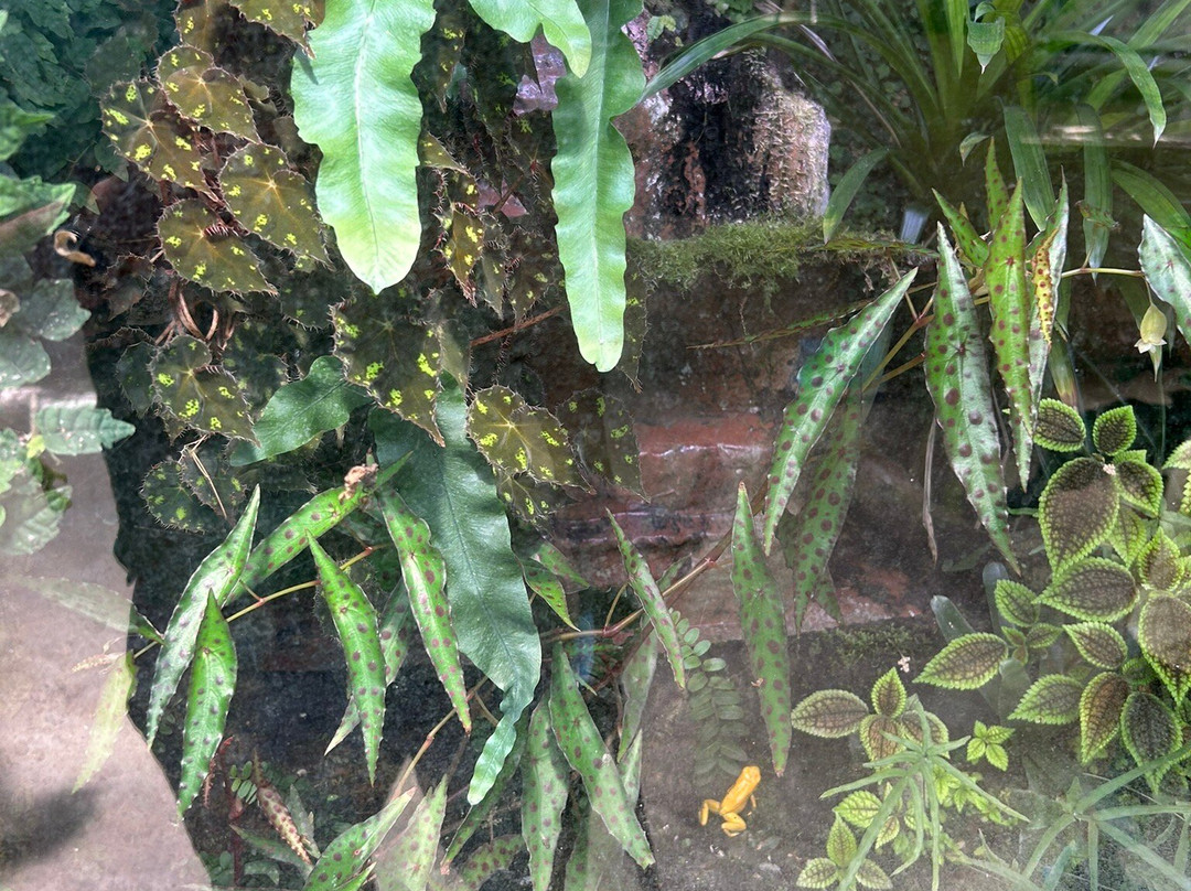 Tropiquarium de Servion-Servion必去景点