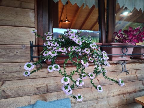 B&B Manarin-旅行者