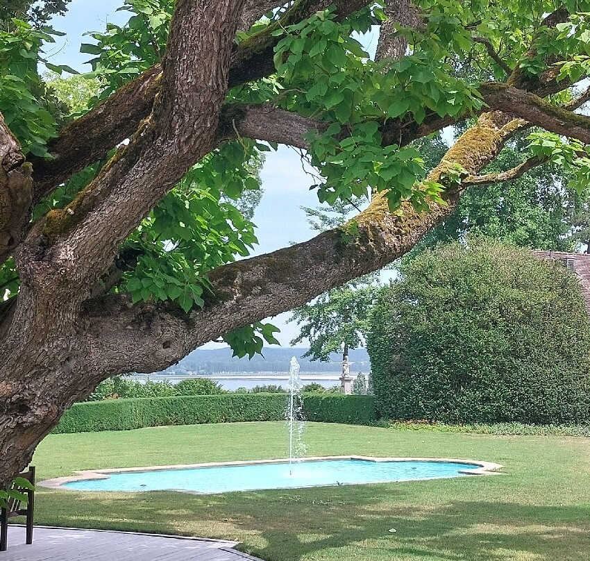 Lilienberg主图