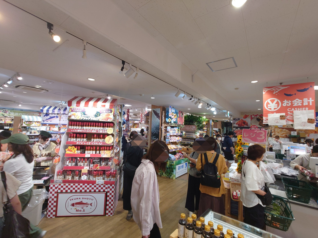 Michi-no-Eki Salmon Park Chitose-千岁市必去景点
