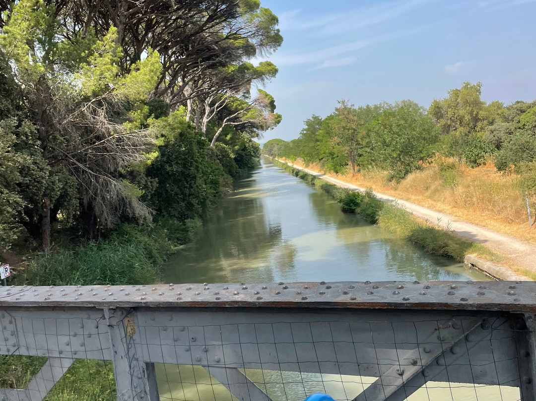 Vélorail Du Canal Du Midi-Salleles-d'Aude必去景点