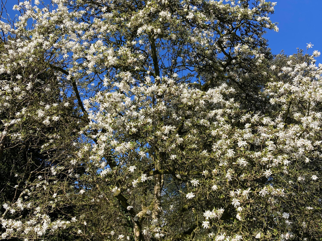 Dyffryn Gardens-St Nicholas必去景点