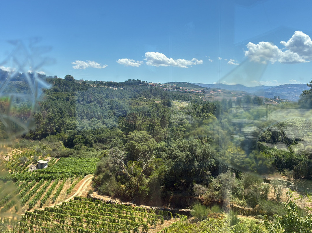 Quinta do Roncão-Vila Real必去景点
