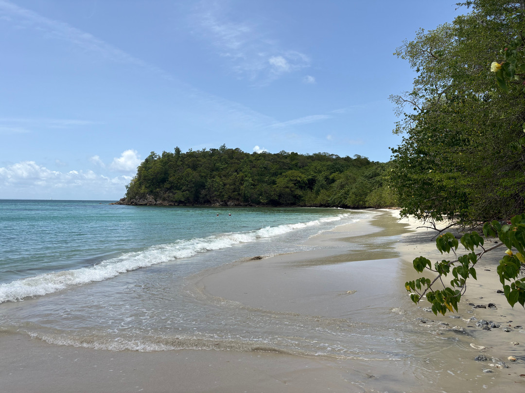 Mosquito Beach-Saint Louis必去景点