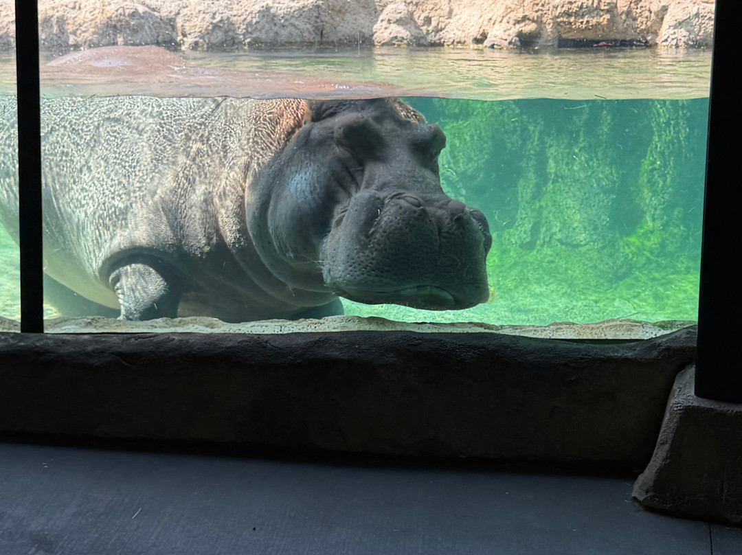 Milwaukee County Zoo-密尔沃基必去景点
