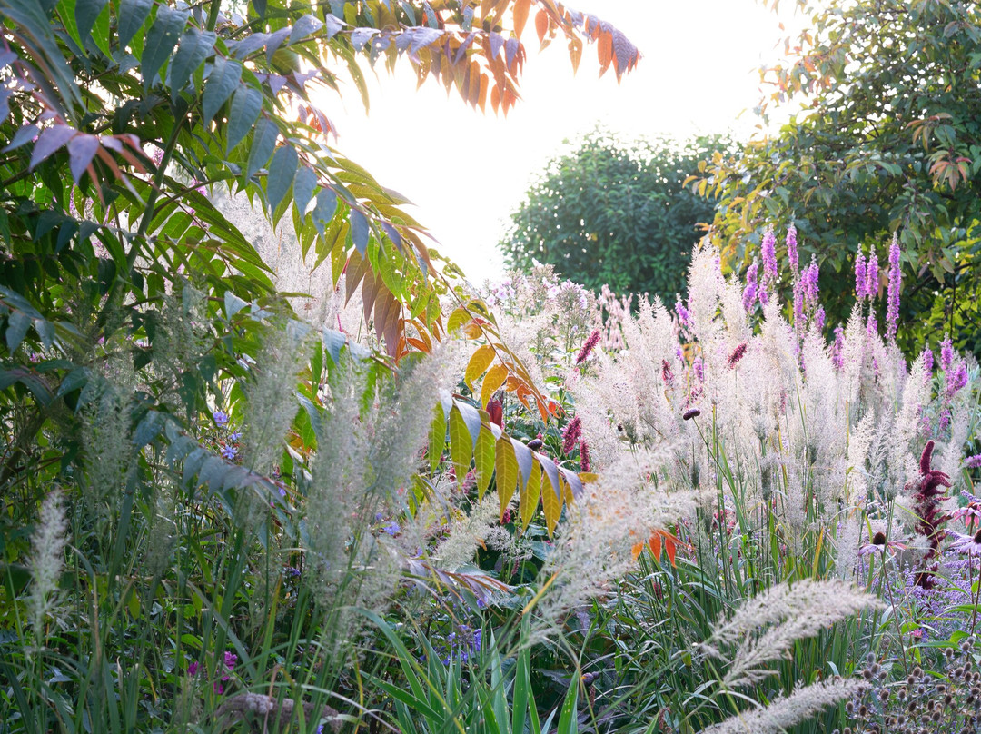Patthana's Garden-Kiltegan必去景点
