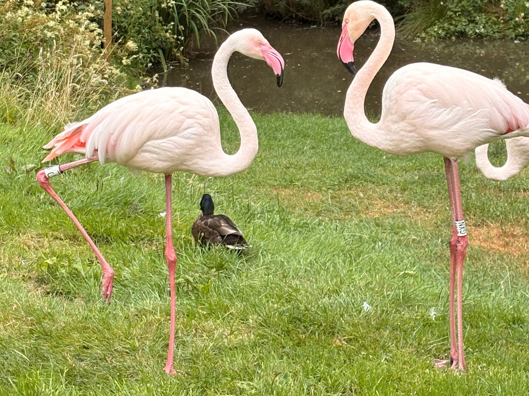 The Lake District Wildlife Park-Bassenthwaite必去景点
