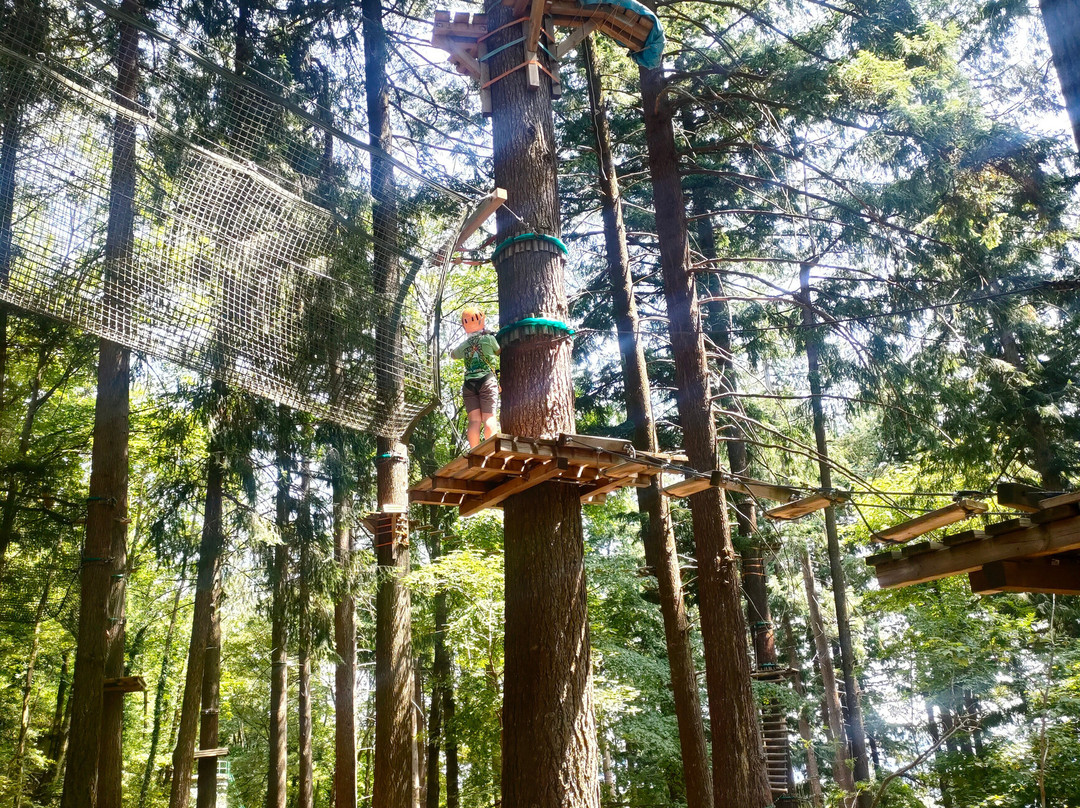 Jungle Raider Park-Albavilla必去景点