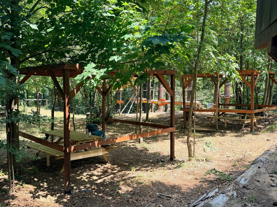 Parco Avventura Sospeso nel Verde-Villa Basilica必去景点