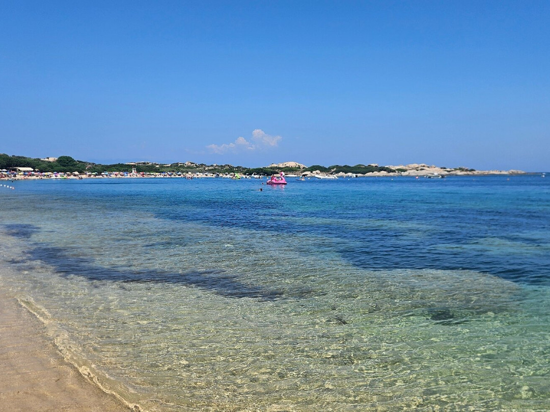 Spiaggia Rena di Levante-圣特雷莎加卢拉必去景点