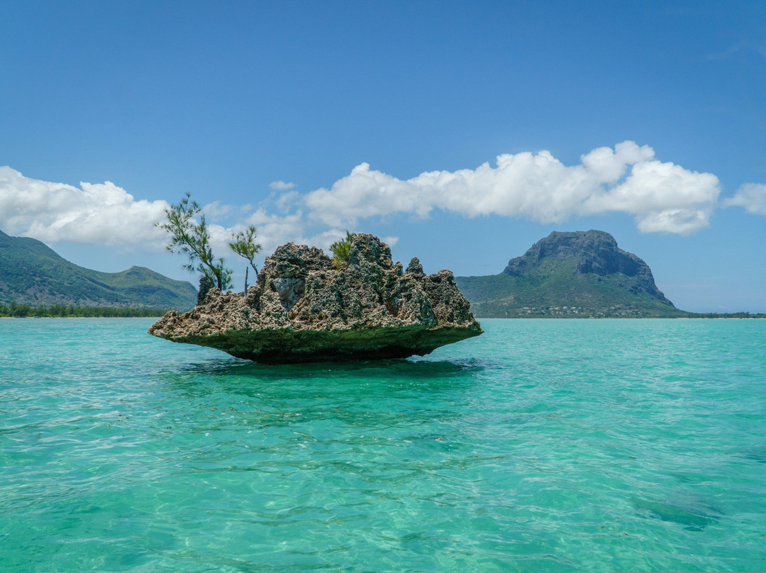 Seewan Tours