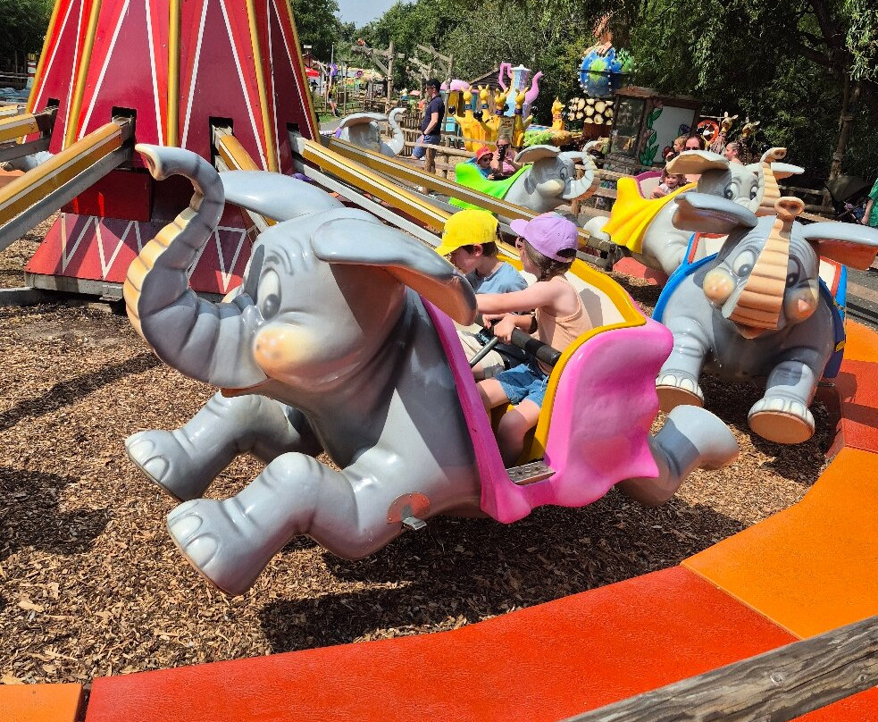 Pettitts Animal Adventure Park-Reedham必去景点