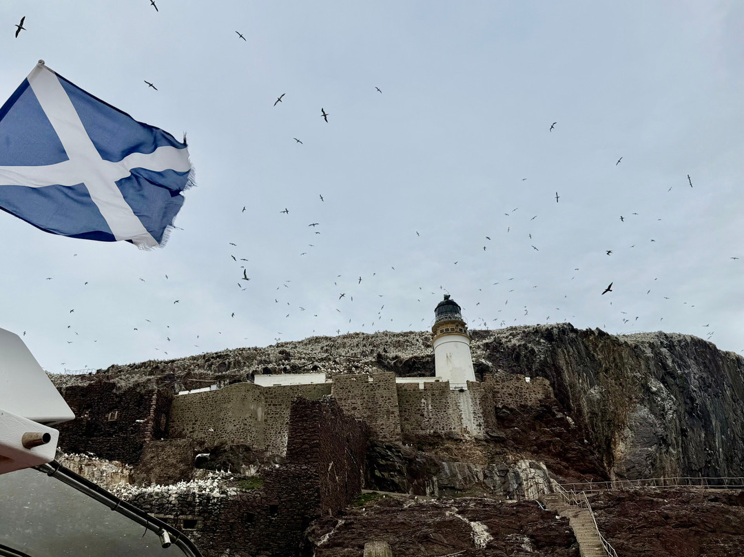 Scottish Seabird Centre-北柏威克必去景点