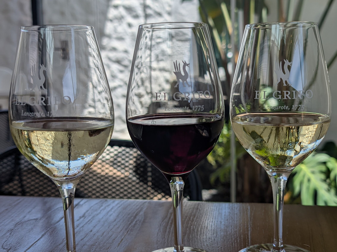 El Grifo - Museo del Vino-San Bartolome必去景点